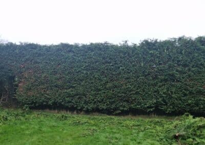 creative landscapes and design design image new 102