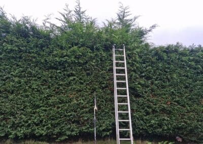 creative landscapes and design design image new 103