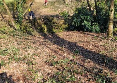 creative landscapes and design design image new 31