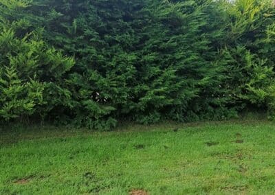 creative landscapes and design design image new 78