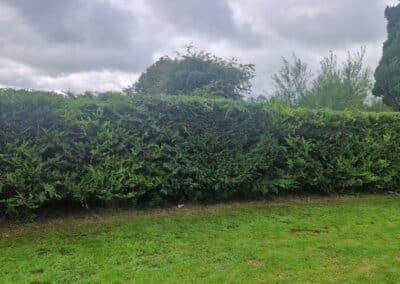 creative landscapes and design design image new 79