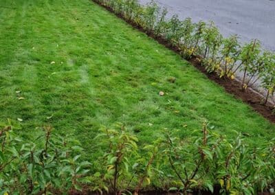 creative landscapes and design design image new 91